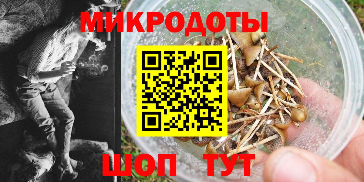 Новороссийск  Псилоцибиновые грибы мицелий  Вход с VPN 