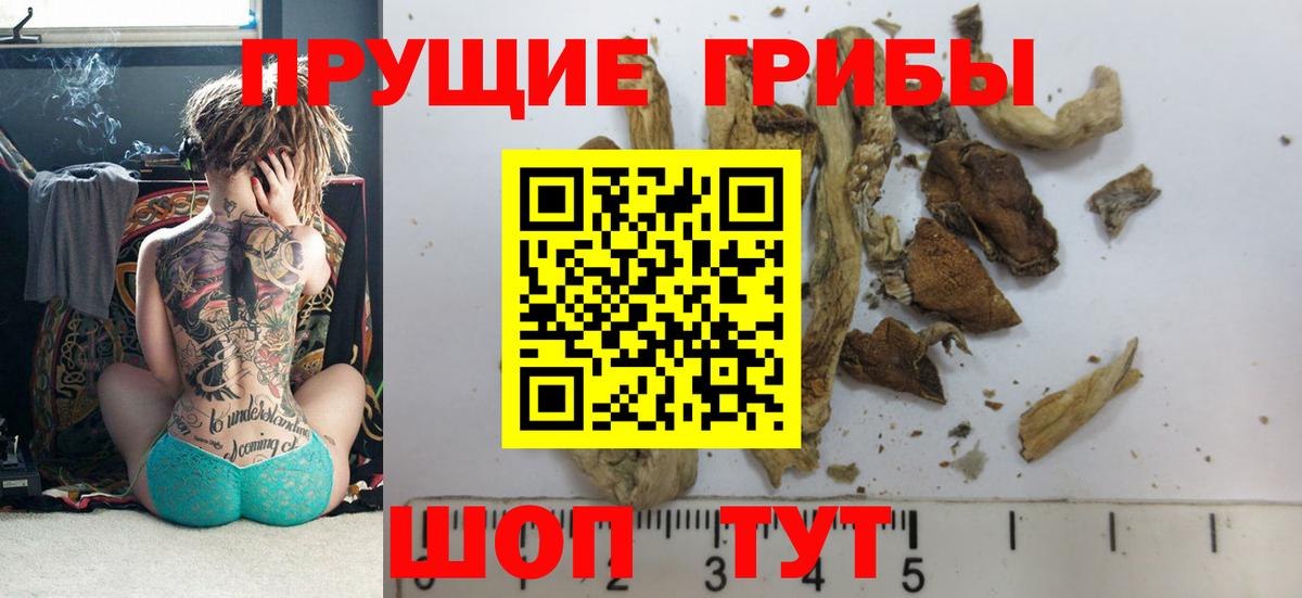 Галлюциногенные грибы Cubensis Новороссийск